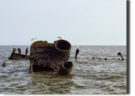 Reste Mast und Spanten Reste Mast und Spanten